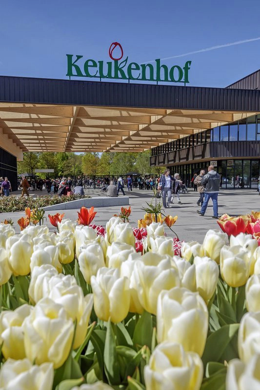 Keukenhof-Spring-Garden-Lisse-The-Netherlands-branding-brand-email-marketing-mailchimp-design